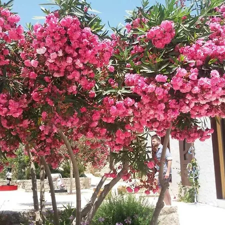 Ferienhaus Mykonos 